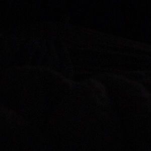 Meet your Posher, Clarissa